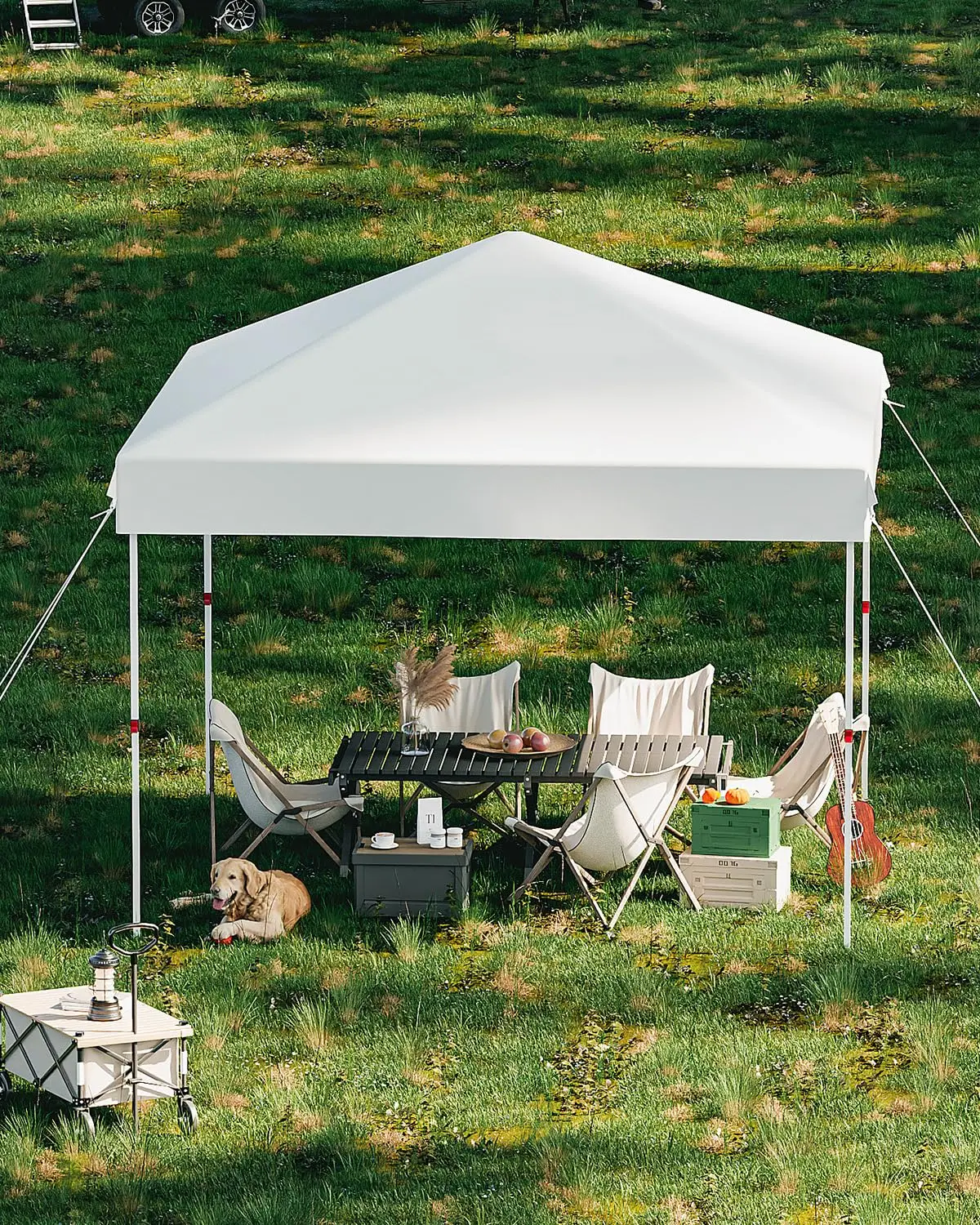 10x10 Ft Pop Up Canopy Tent, 3 Adjustable Heights Waterproof Instant Shelter with Wheeled Carry Bag for Patio Beach Garden Party