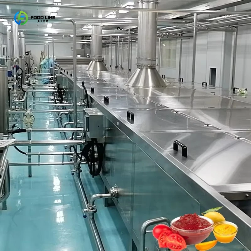 Machine de fabrication de confiture de myrtilles, de jus de fruits et de sauce tomate personnalisée,