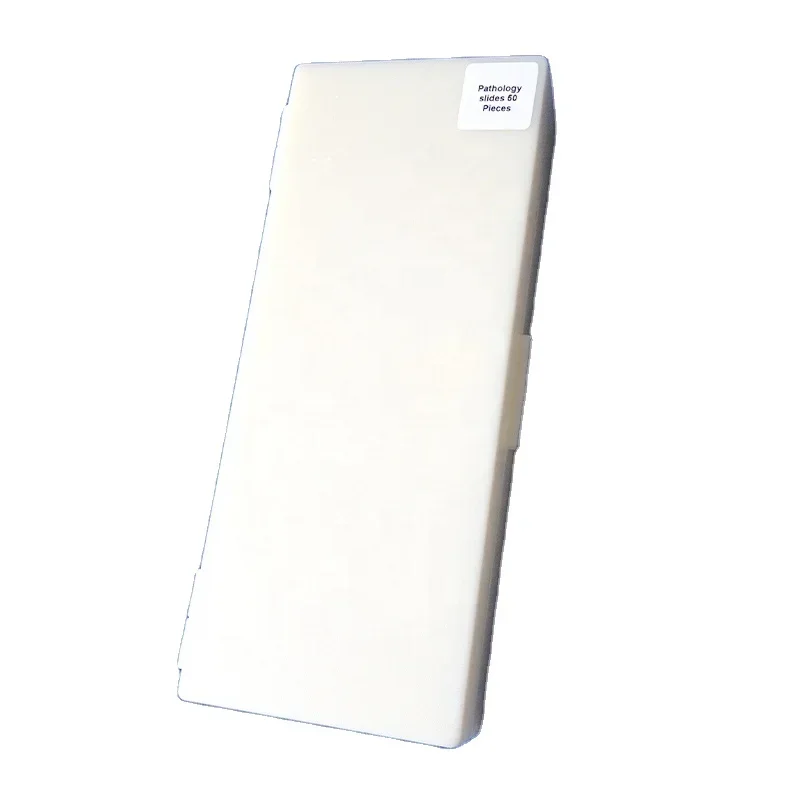50pcs Pathology slides set medical science human pathology microscope prepared slides specimen