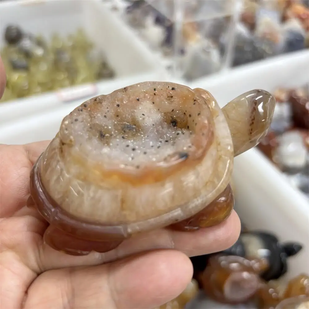 1PCS Natural Carnelian Red Agate Turtle Animal Carving - Polished Reiki Healing Fengshui High-Quality Room Decor Energy Gift