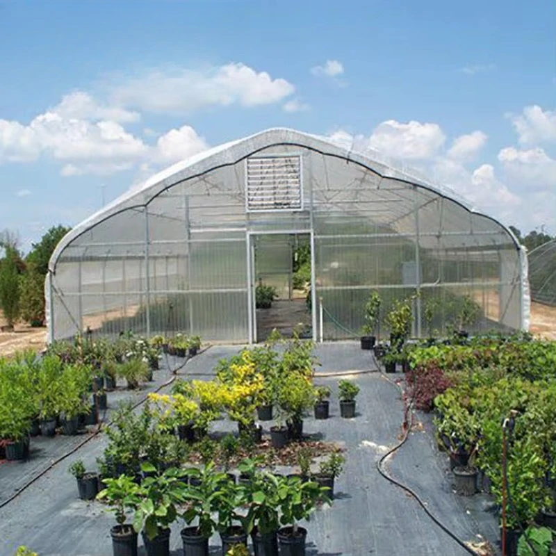 نفق الدفيئة الزراعية الدفيئات الزراعية