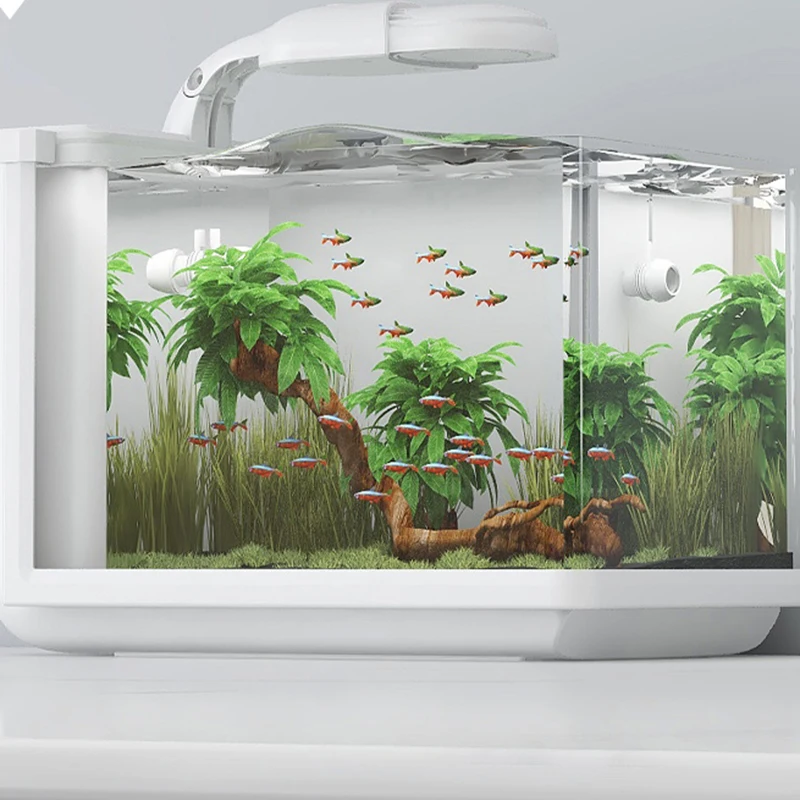 Ecological Glass Fish Box Small Led Light Jellyfish Filter Fish Tank Guppy Living Room Modern Household Products