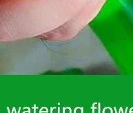 

1pcs Garden Sprinkler Head Greenhouse Gardening Nursery Sprinkler Head 2000 Mesh Flower Lawn Plant Sprinkler Head