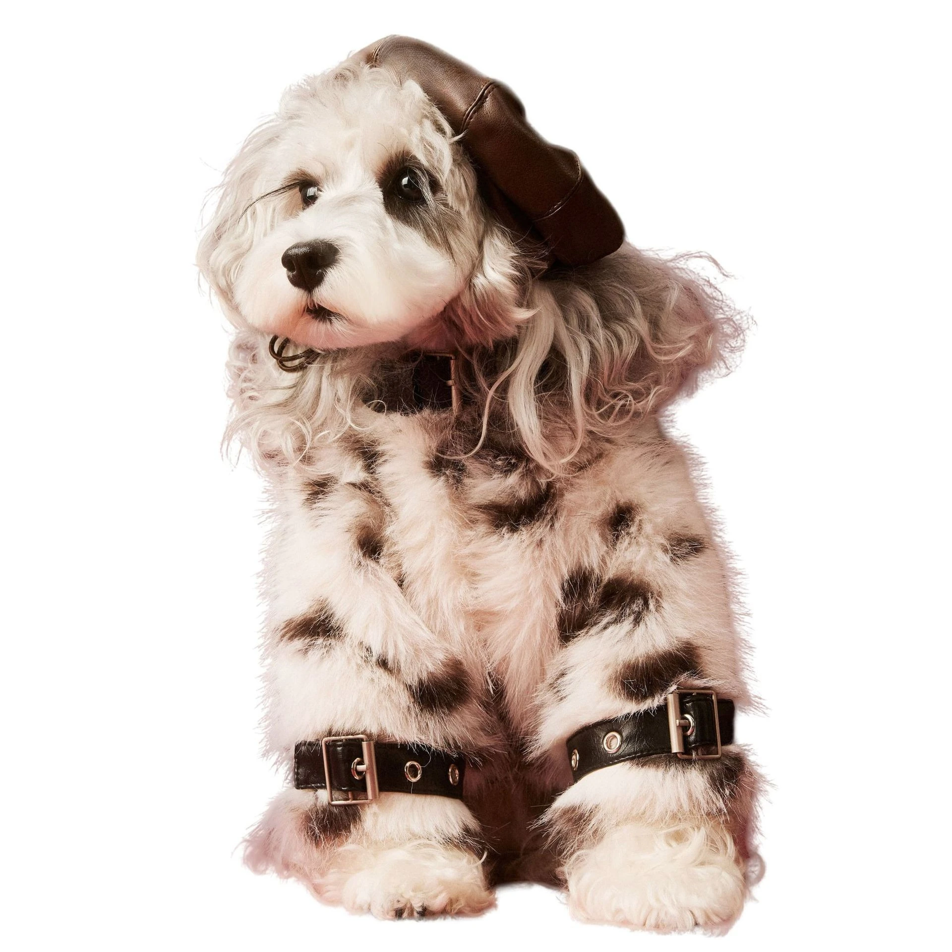 

Clothes Autumn and Winter Schnauzer Teddy Thickened Warm Spotted Jacket Two Feet Dog Dresses