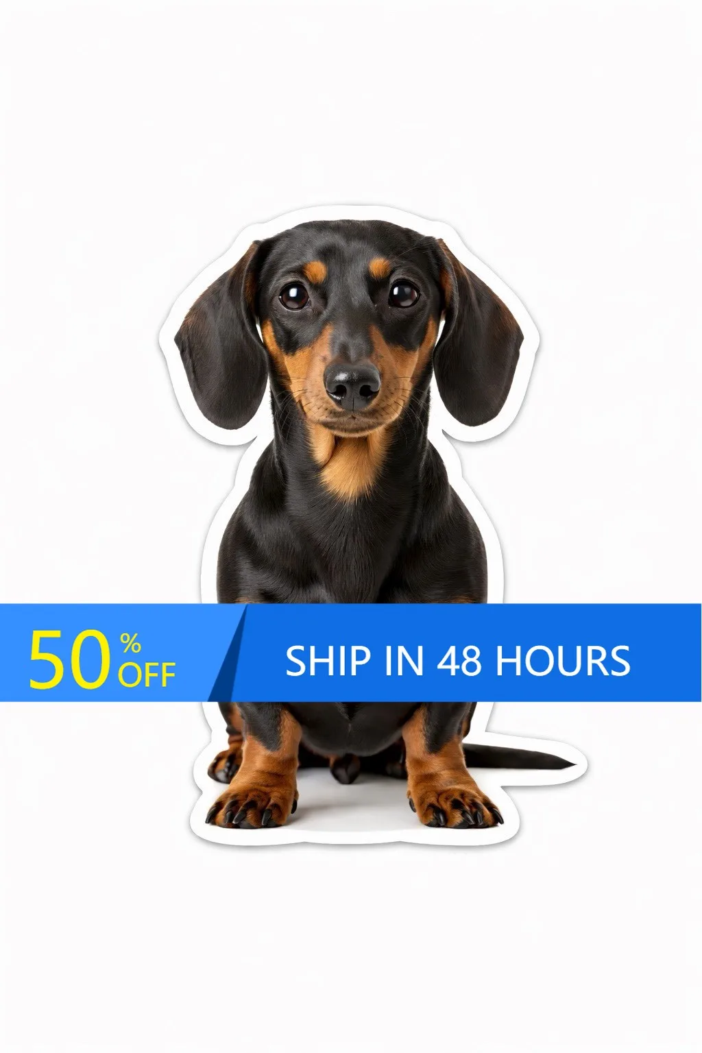 

Dachshund Dog wiener German Cool Camper Van Laptop Window Walls Sticker Trendy Unique