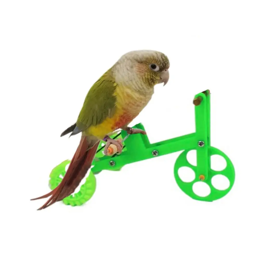 Creative Funny Parrot Puzzle Bicycle Toy Plastic Birds Playthings Bike Exercising Toy Indoor Bird Improve Health Accessories