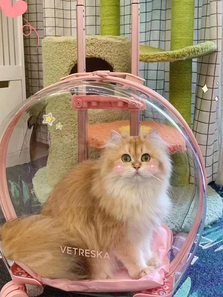 

Cat Bag Outdoor Portable Luggage Transparent Pet Dog Trolley Case Space Capsule Large Capacity