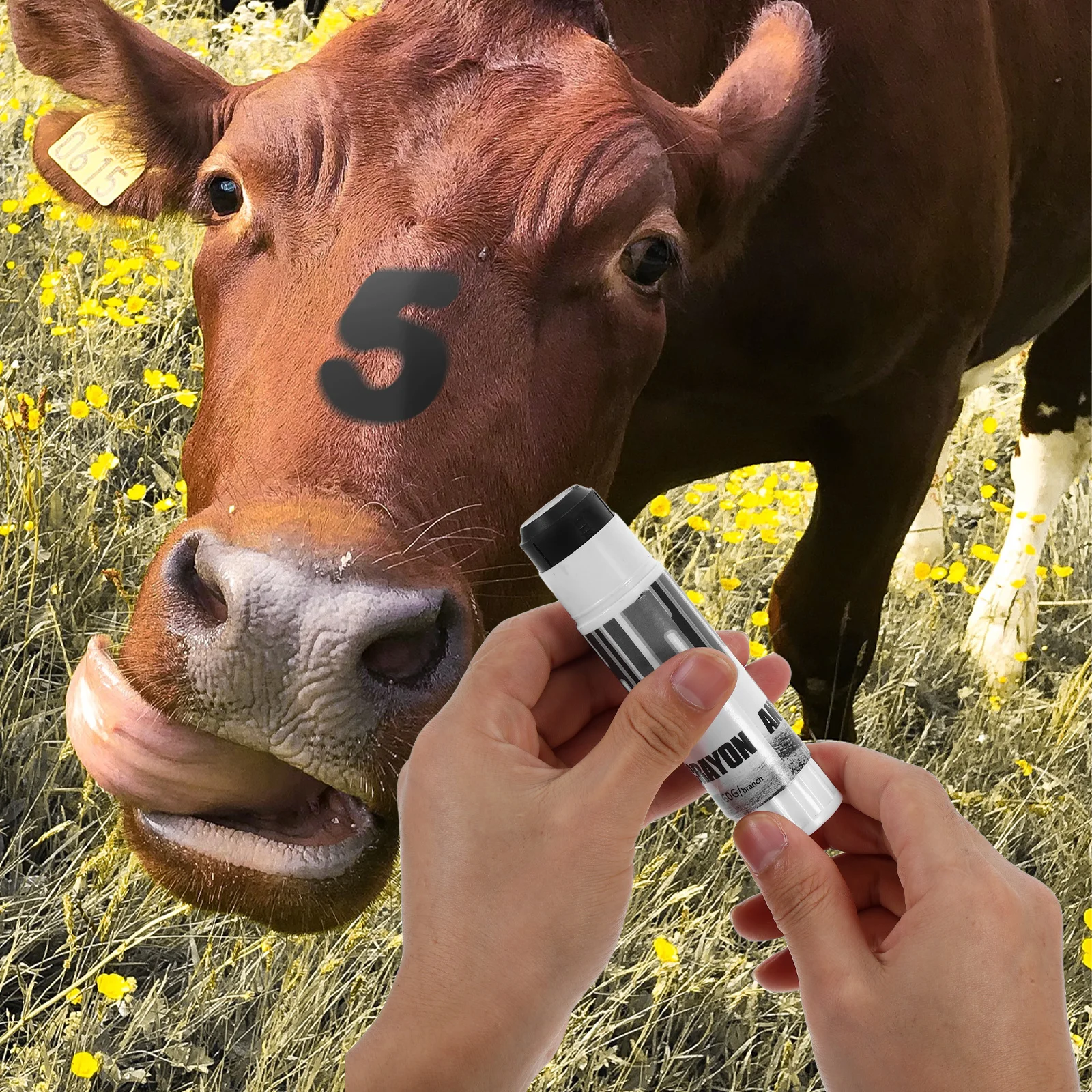 

5pcs Pig Marking Crayon Livestock Identification Smooth Application Water Resistant Rotatable Animal Marking Pens