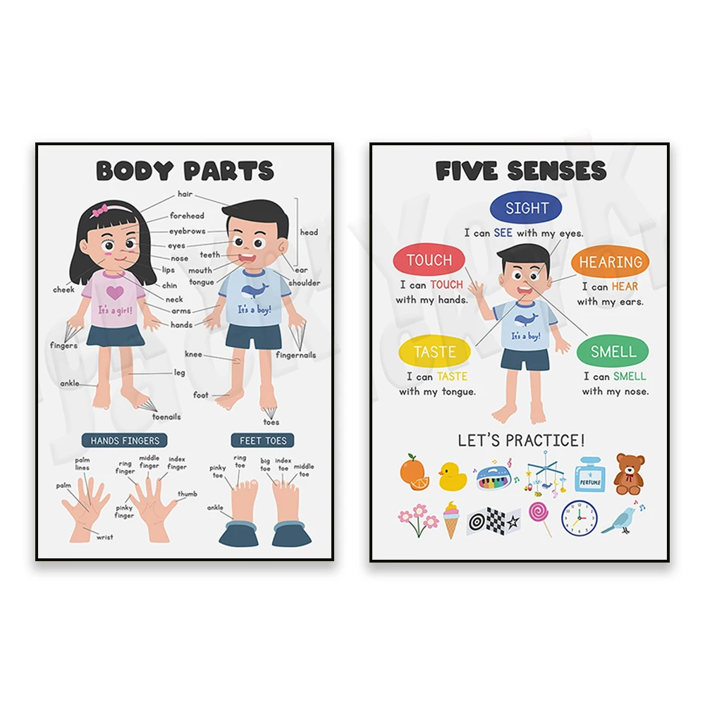 

Five Senses Poster, Body Parts Poster, Educational Poster for Homeschool Kids, My Body Printable Wall Art, Classroom Decor