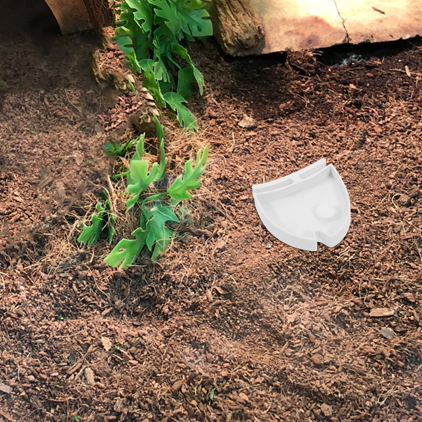 

Large Reptile Feeding Bowl Water Dish Multifunctional Food Dish for Tortoise Gecko Hamster Small Animal Terrarium Feeder