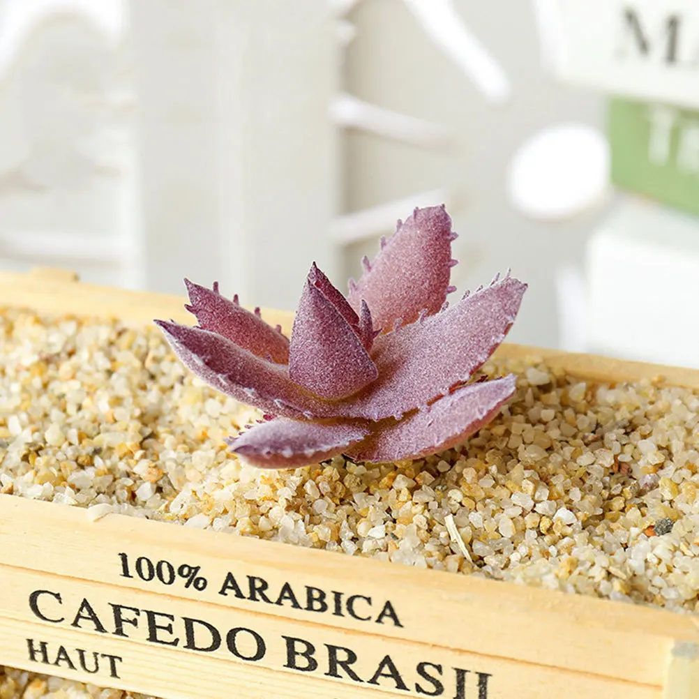 5 قطعة رأس زهرة عصارية محاكاة إبداعية نابض بالحياة رف سطح المكتب الأخضر ديكور زهرة اصطناعية متدفقة #1