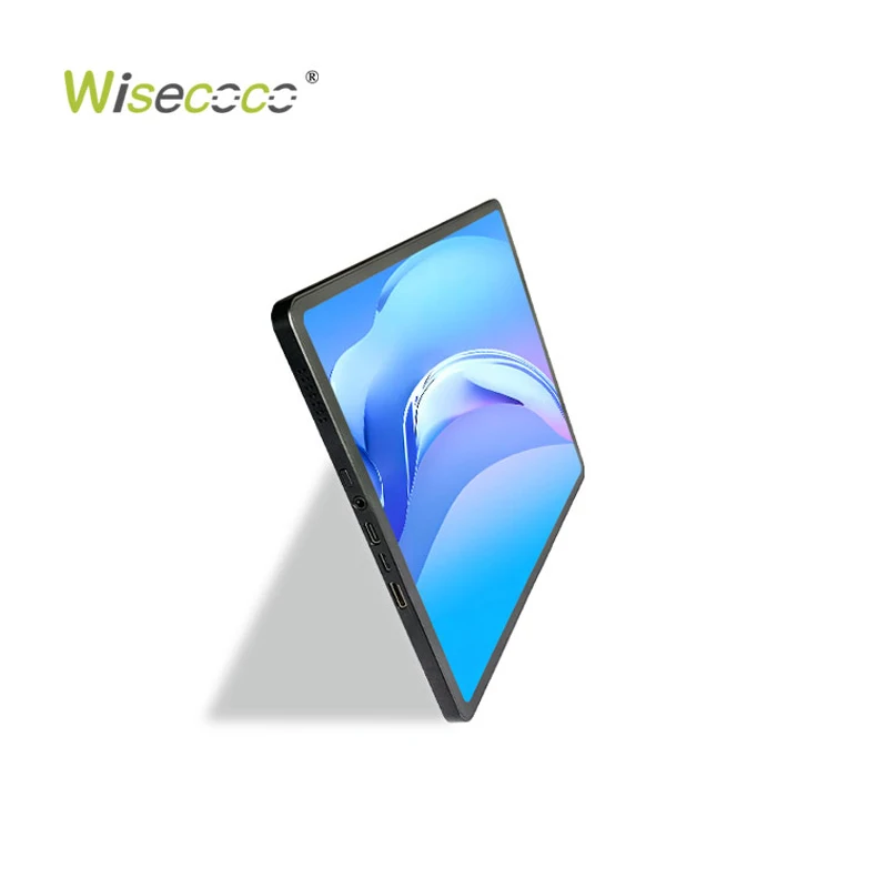 11 Inch 2K 1728*2368 Amoled Ips Touch Portable Monitor Screen Panels OLED Display Panel Monitors