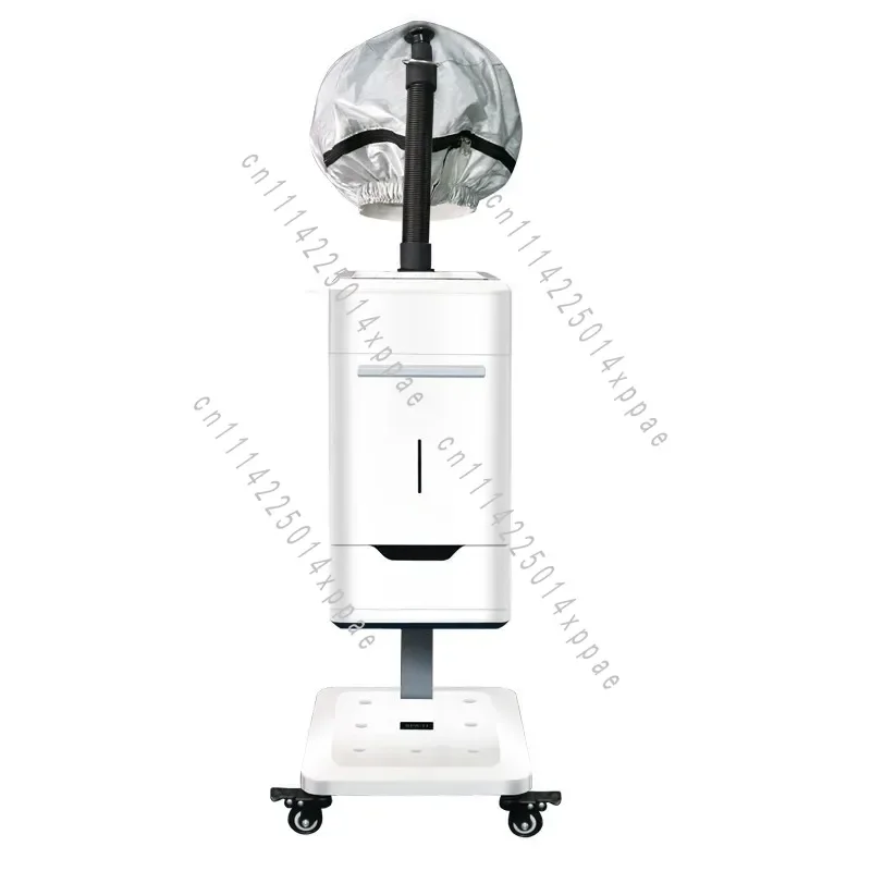 Conditioner Negative Ion Nano Hydrating Steam Engine Care Spray Machine Hair Salon SPA Baking Oil Machine