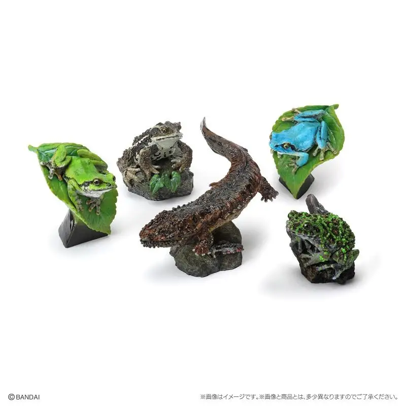 Bandai Ikimono Daizukan Mini Collection Amphibians Gashapon Giant Salamander Tree Frog  Toad Okinawa Rice Frog Collectible Model