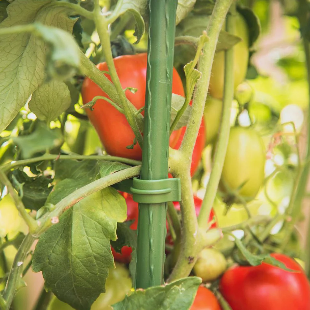 

12 pcs Tomato Plant Support Cages Durable Plastic Coated Stakes Adjustable Trellis Garden Accessories Vegetable Growing Flowers