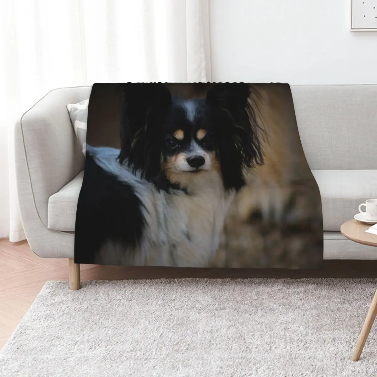 Papillon dog Throw Blanket Furry Decoratives Beautifuls decorative Custom christmas decoration Blankets
