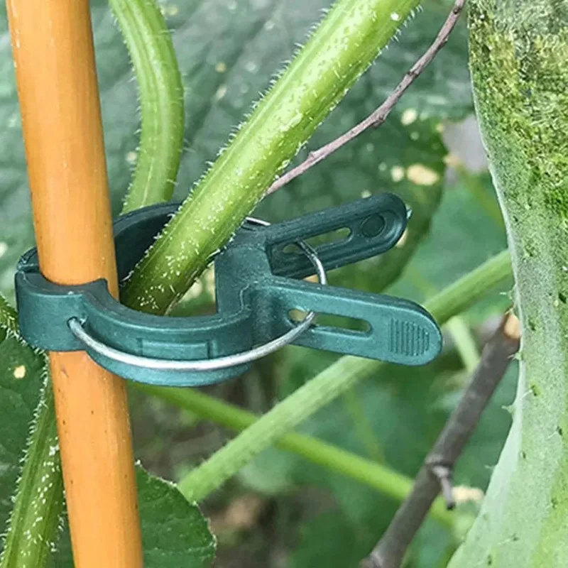 Plant Fixed Clips Reusable Garden Vine Climbing Clamp, Tomato Flower Support Fastener for Greenhouse Bracket