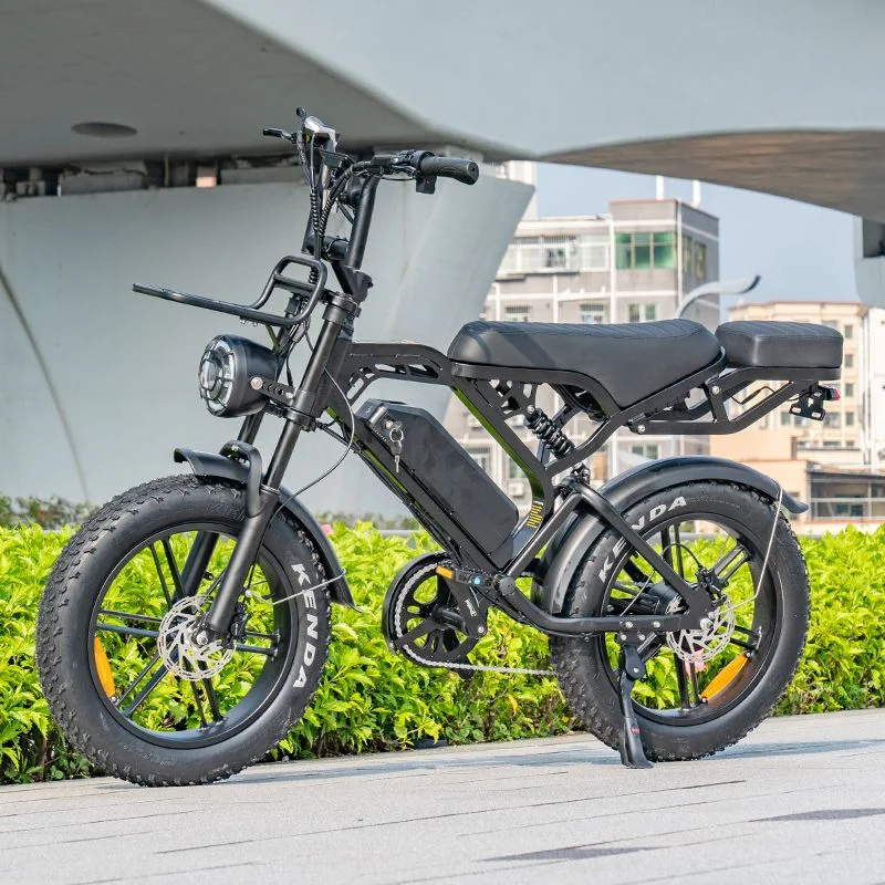 2024 V20 3.0 ebike pro electric bike 1000W 48V 15AH electric bicycle Hydraulic brake Integrated wheel snow 20*4.0 tire fatbike