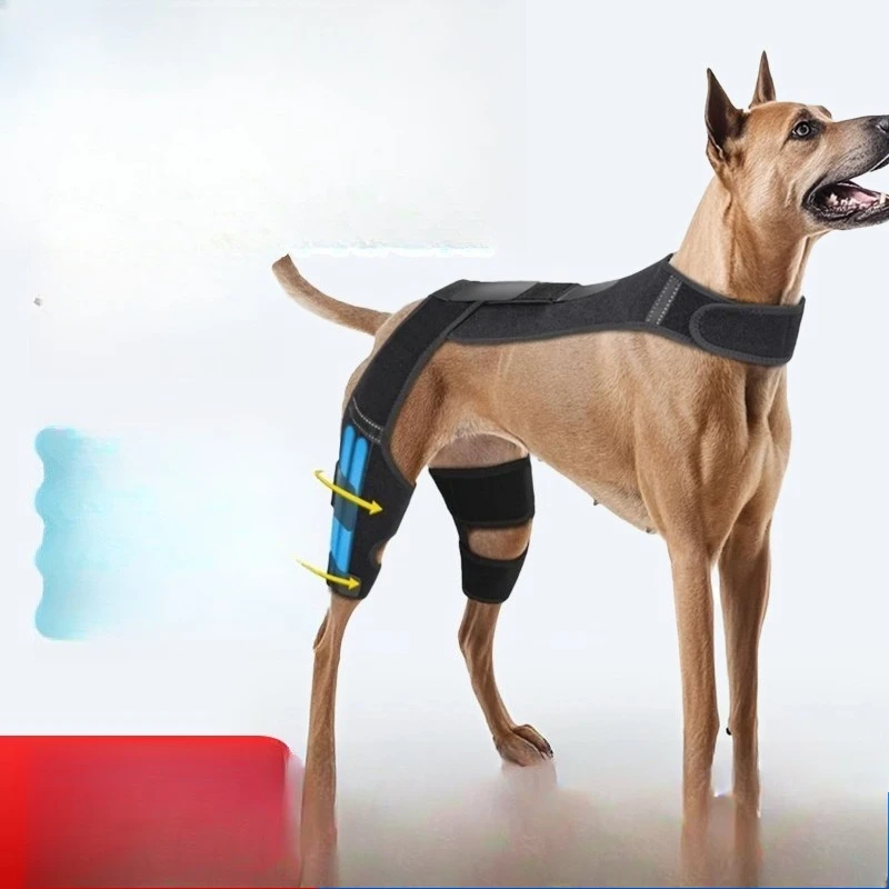 

Pet small dog patellar dislocation protective cover double hind leg fixation band cruciate ligament hind leg fracture support kn