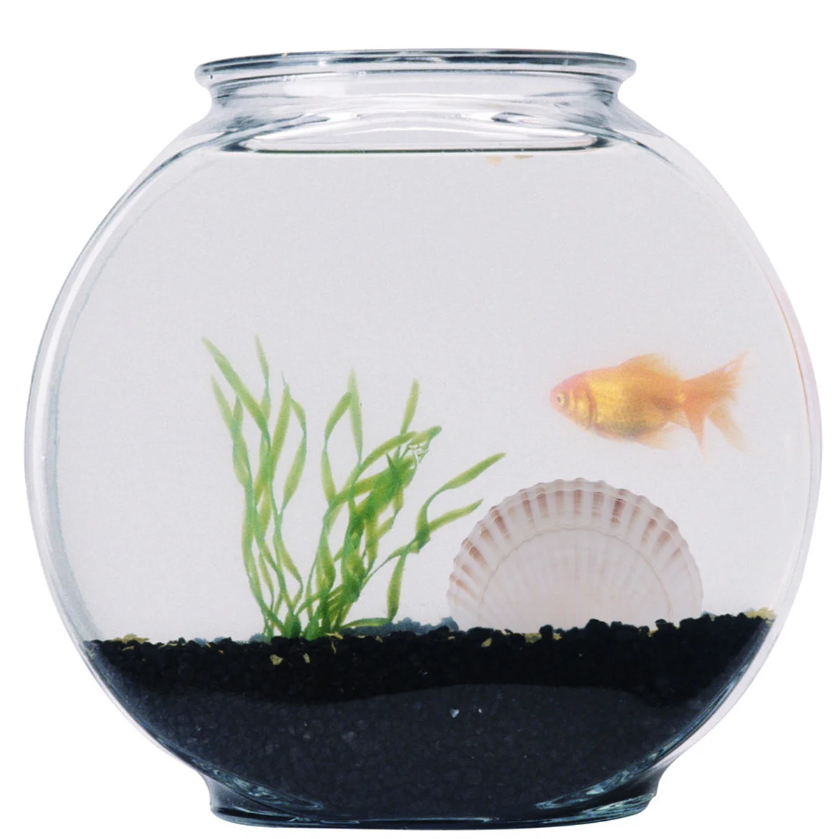 

Fish Tank Decor Aquarium Decoration Aquarium Ornament Fish Tank Shell Fish Tank Decoration