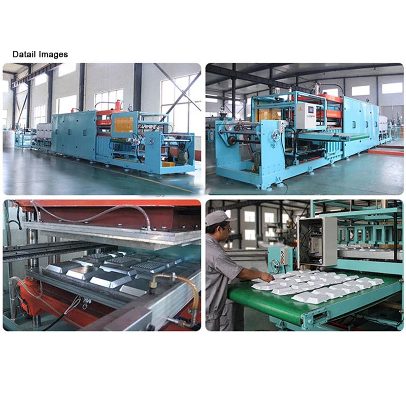 Professional Automatic PE PLA Paper Safe Take Away Vendor Meal Plate Tray Fast Food Box Making Forming Machine