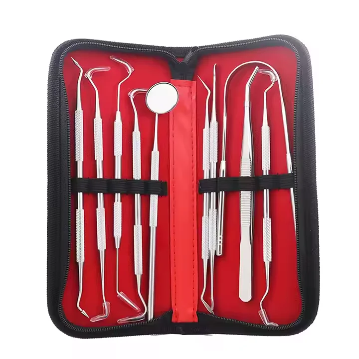 Medical Professional Stainless Steel 10 Pcs Dental Examination Set Dentist Surgery Tools fast shipping