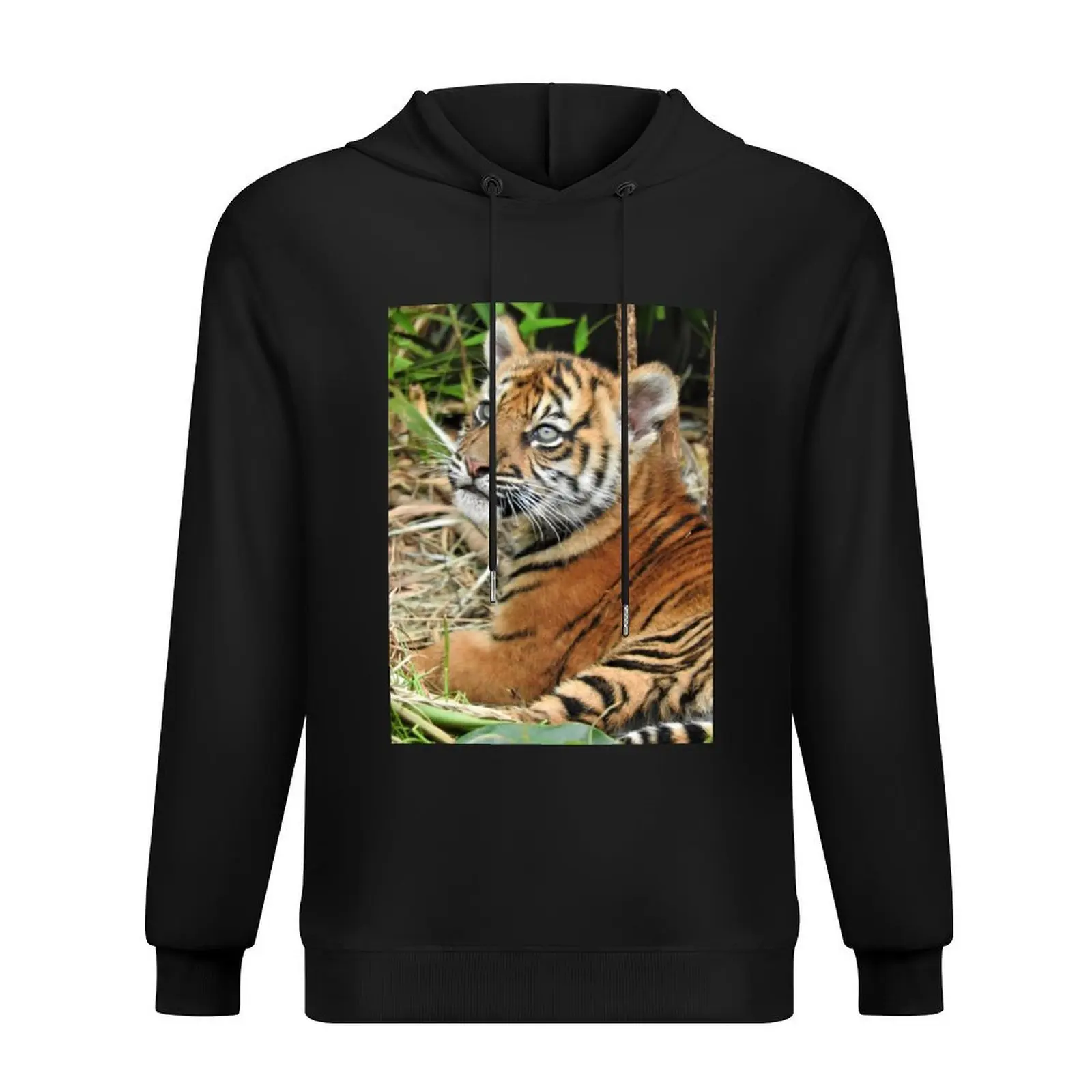 

Sumatran Tiger Hoodie men's coat fashion men korean autumn clothes men's winter sweater hoodie