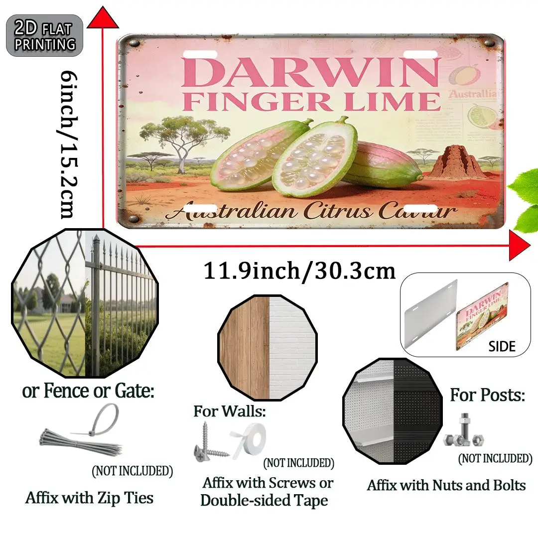 2D Flat - [2D Flat] 1pc Vintage Aluminum Decorative Sign | Darwin Finger Lime Australian Citrus Caviar, Retro Metal Decor, Shape