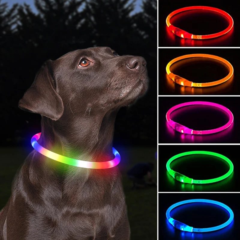 Led Dog świecąca obroża Usb obroża 3 tryby Led Light świecące zapobieganie stratom LED kołnierz na duże psy akcesoria dla psa