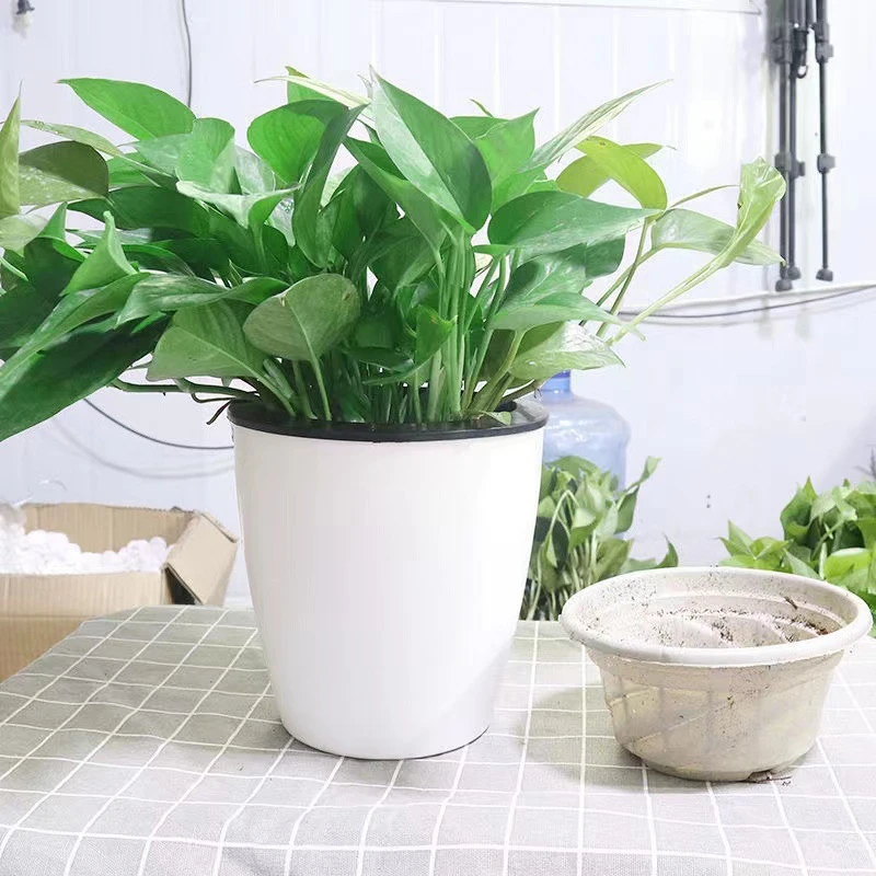 أصيص زهور مستدير بطبقة مزدوجة، وعاء زراعة مائي أوتوماتيكي لامتصاص الماء، أصيص زهور نباتات خضراء كبيرة، بونساي #6