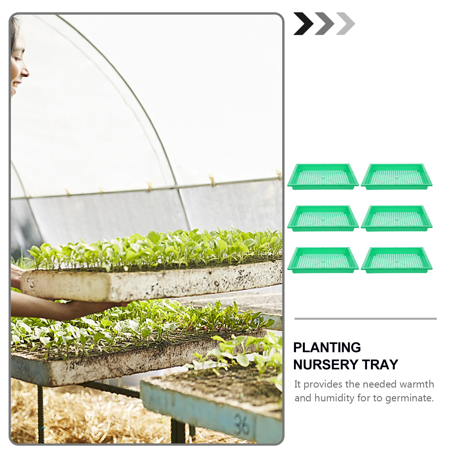

6Pcs Sowing Tray Plastic Plant Growing Container for Germination Nursery Garden Indoor Outdoor Use Plant Growing Tray