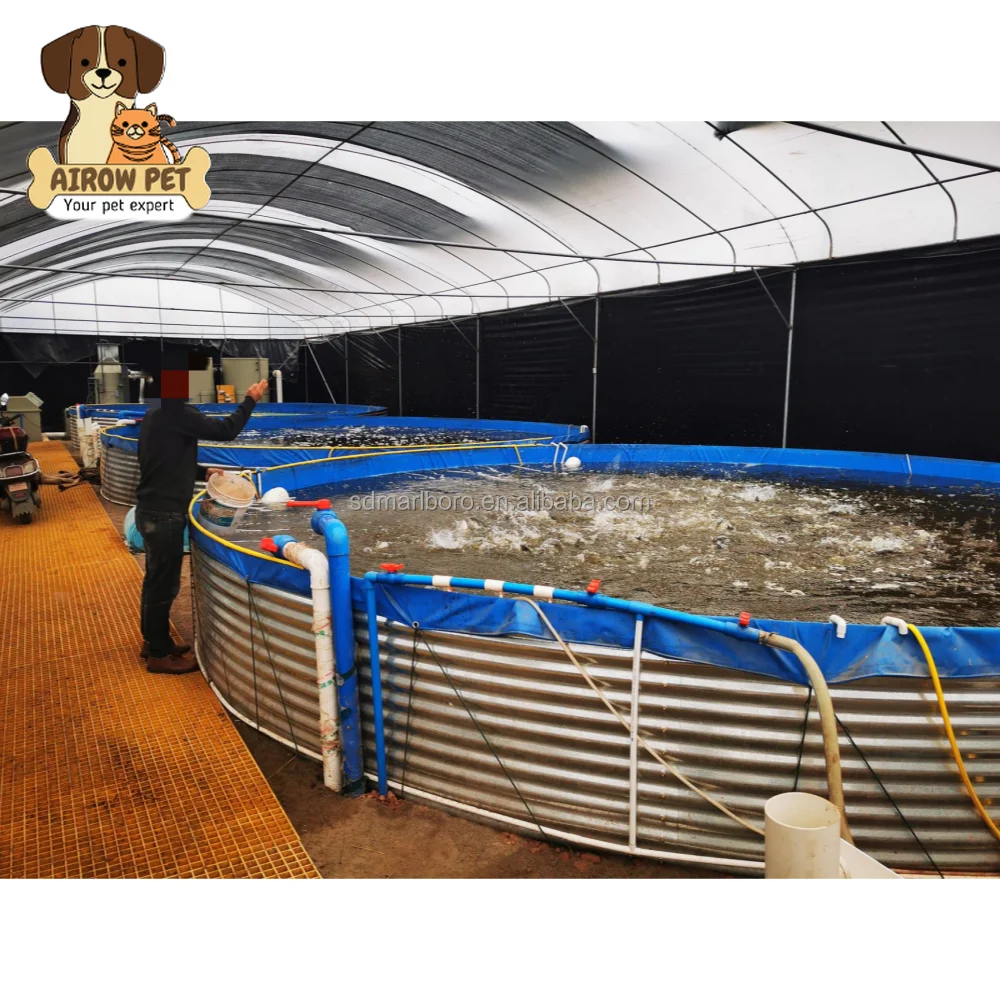 AIROW Customizable Aquaculture Equipment Fish Farming Tank Fish Farming Pool With Competitive Price