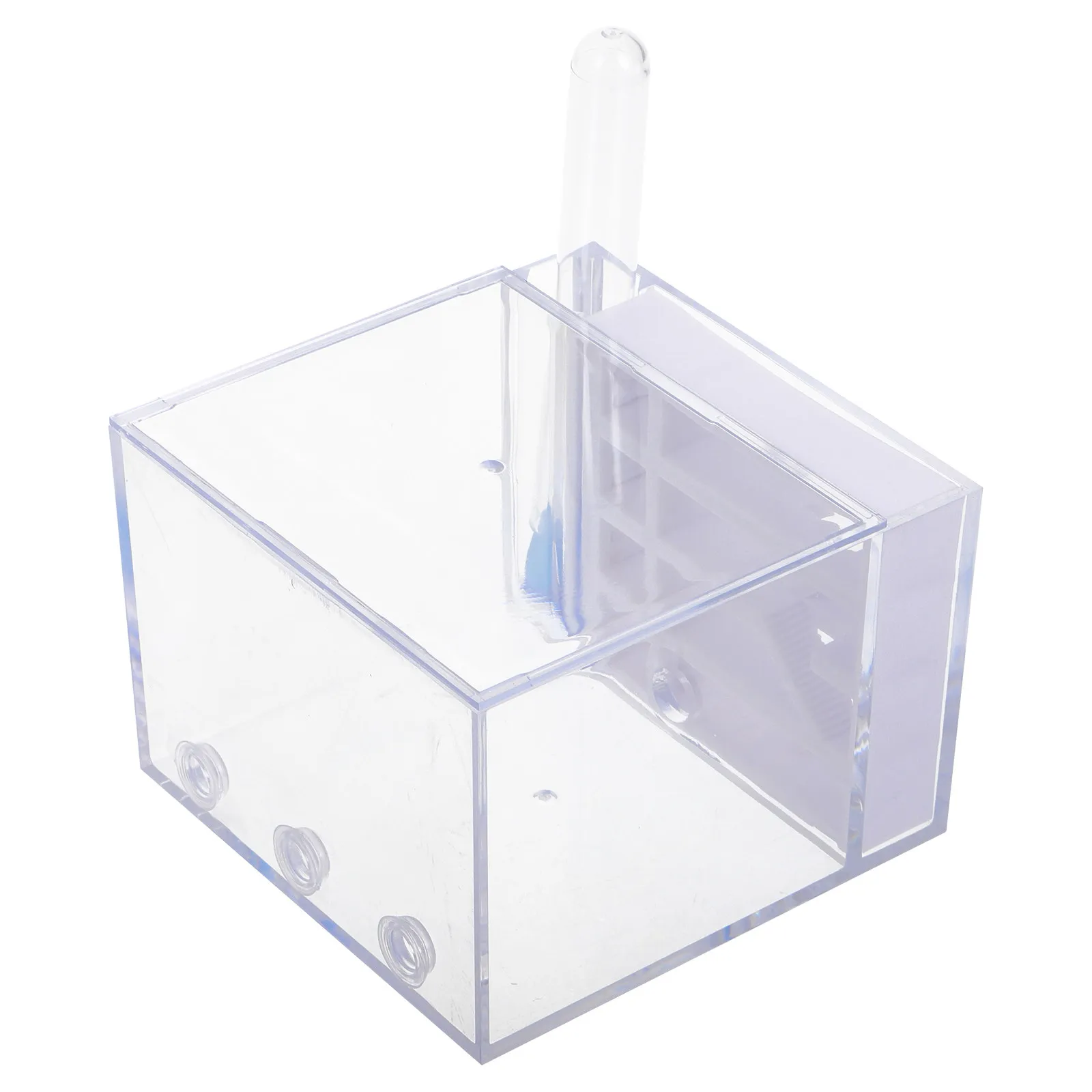 Ants Castle Acrylic…