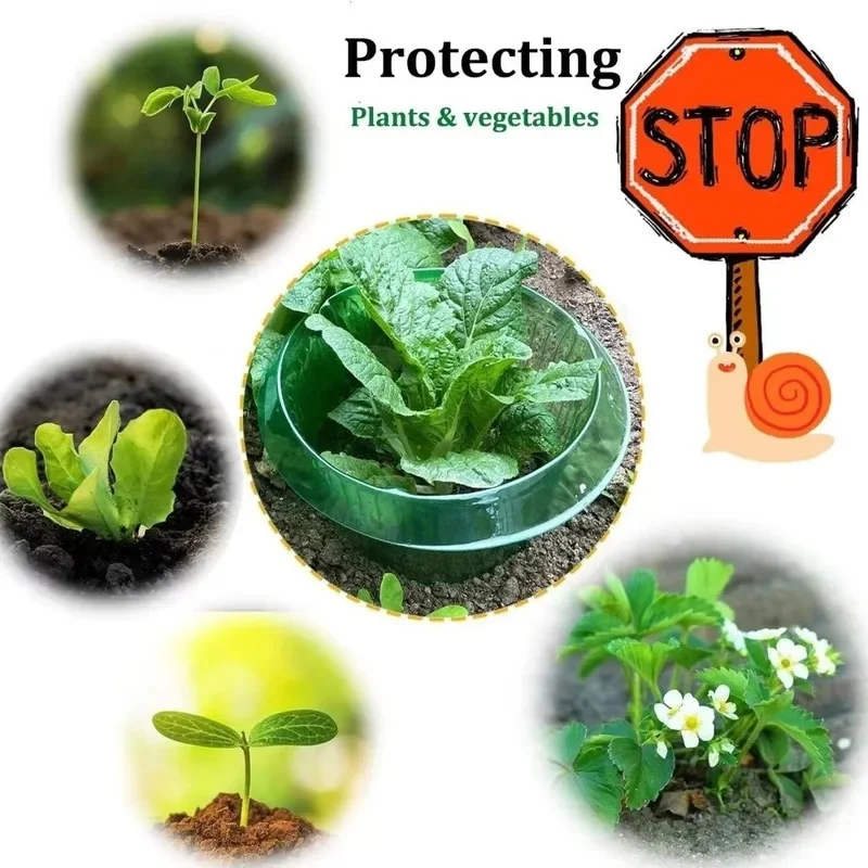 6/8Pcs Plastic Vegetable Slug Collars Thickened Round Plant Protection Covers, No Light Blocking Insect Proof Garden Plant Guard