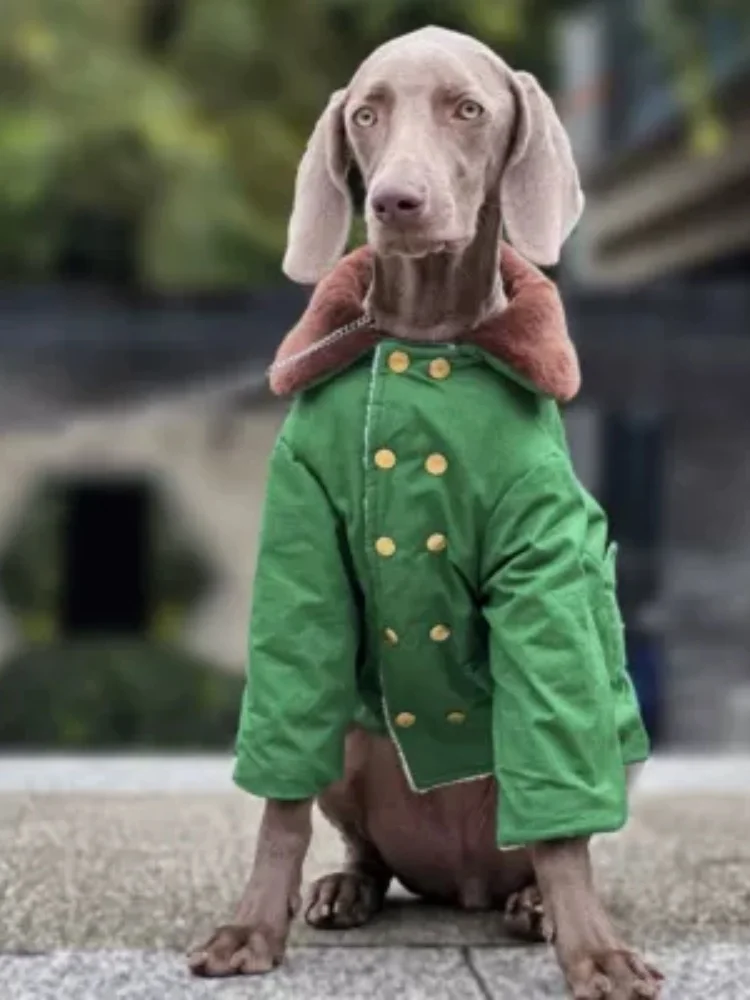 Pet Dog Large Dog Winter Cotton Coat Thickened And Warm Military Green Cotton Coat Labrador Gold