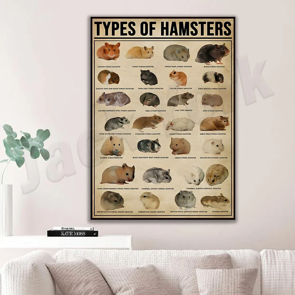 Hamster Species Poster, Hamster Art, Funny Animal Poster Hamster Pattern Chart Poster Wall Art Home Room Decor Canvas Poster