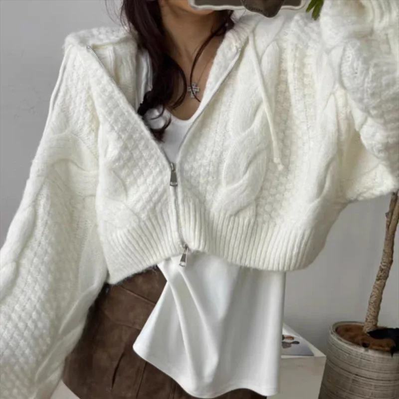 

New Fashion Women Long Sleeve Zipper Short Cardigan Knitted Sweater Casual Loose Hooded Women's Sweater Autumn Winter Clothes