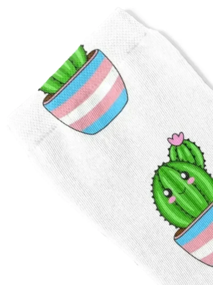 Trans Cactus Socks kawaii cotton Man Socks Women's