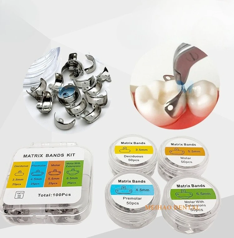 

Dentals perforated watercress M4 divided tooth segmentals forming sheet 4 sizes