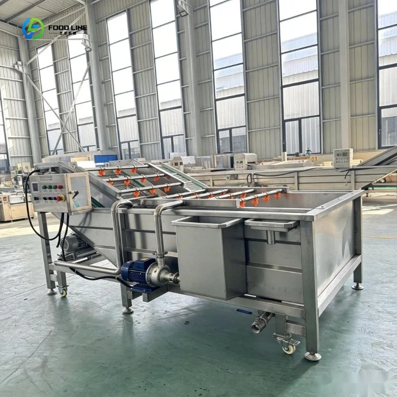 Factory Grade Fruit and Vegetable Air Bubble Cleaner Cleaning Washing Machine FL Customized