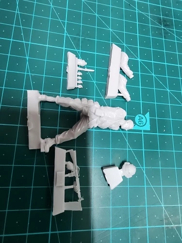 Buyer photo of this resin kit