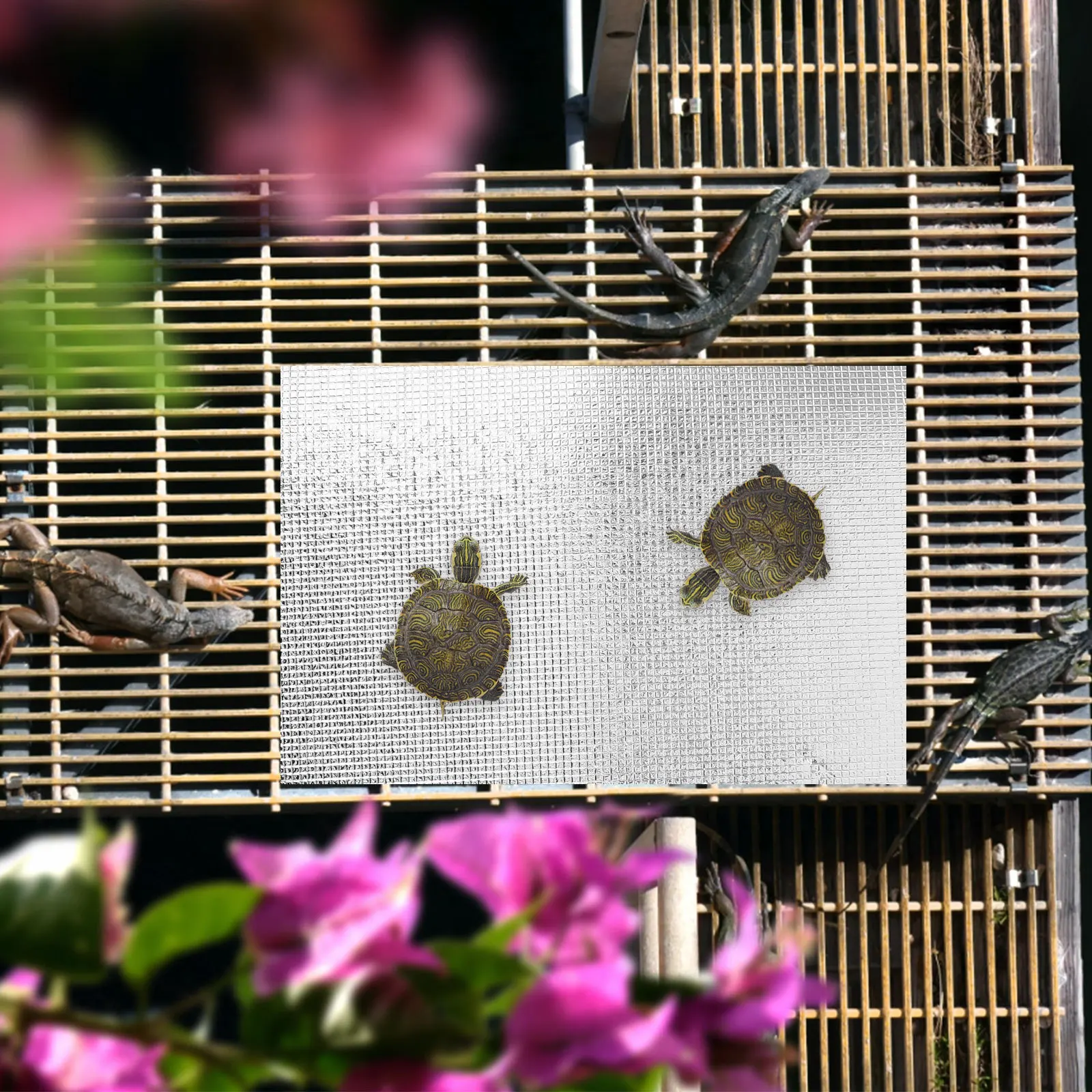 

2Pcs Terrarium Heating Mat with for Reptiles and Amphibians Maintains Healthy Growth Environment in