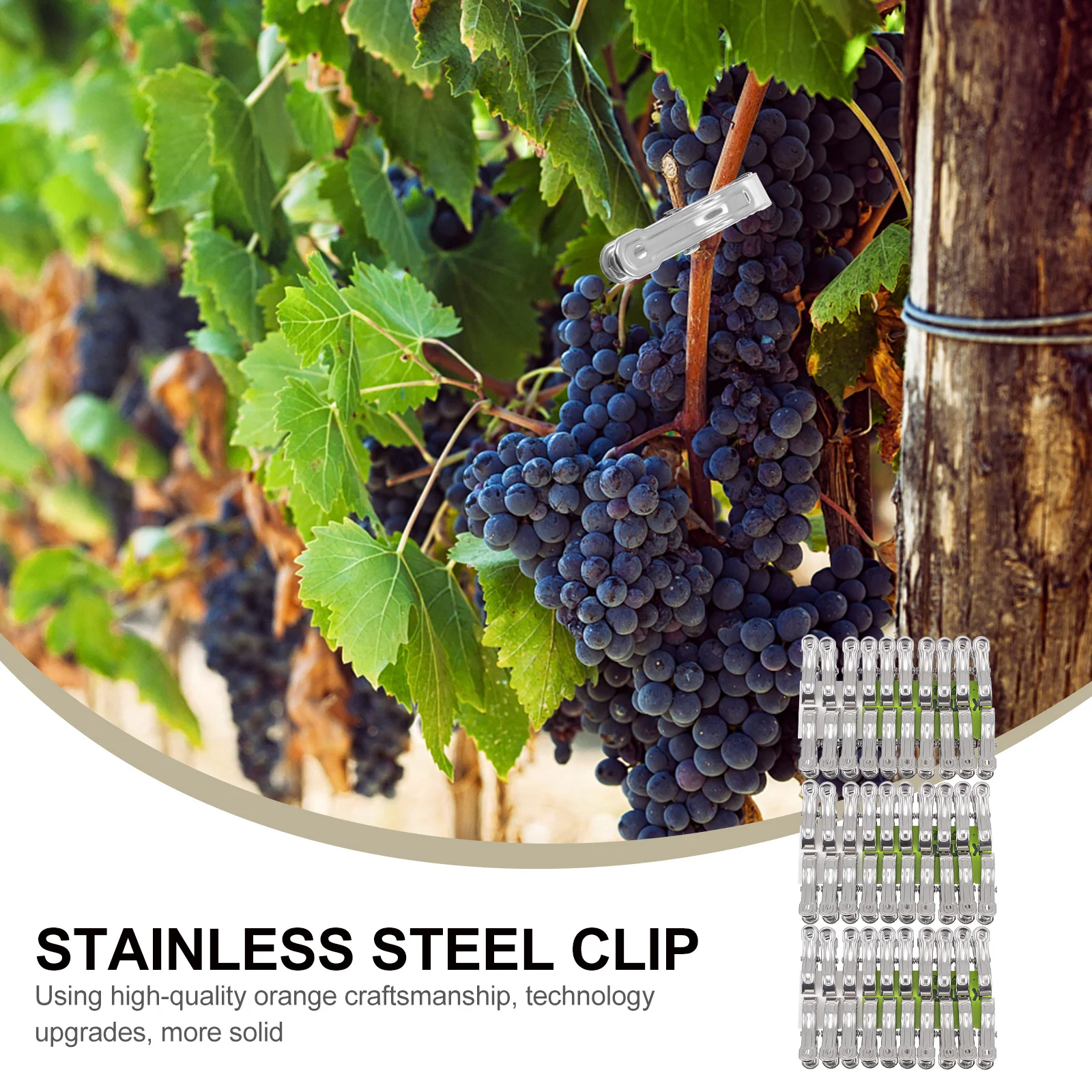 : Schutz Getriebe Zubehör