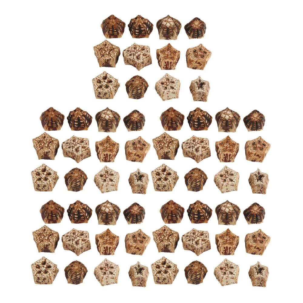 60pcs Pure Mahogany Bird Chewing Blocks Sliced Pods Craft Five Pointed Star Shape Bird Bite Nuts Decorative Design