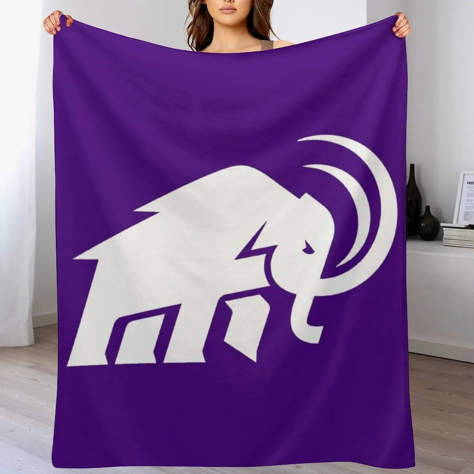 

Amherst College Throw Blanket Cozy Microfiber Throw Blanket for Home Bedroom
