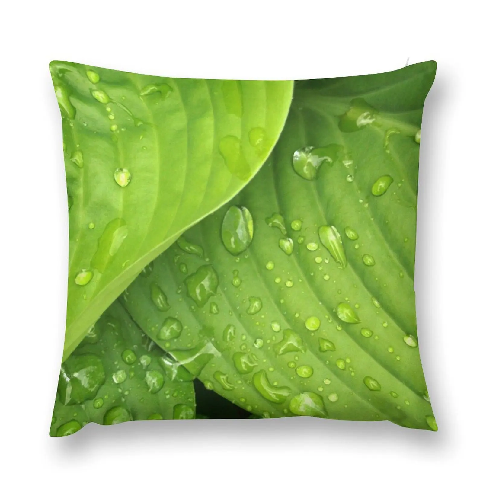 Bright Green Leaves with Water Droplets Throw Pillow Bed pillowcases Ornamental Pillow pillow