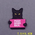 PE6710CT