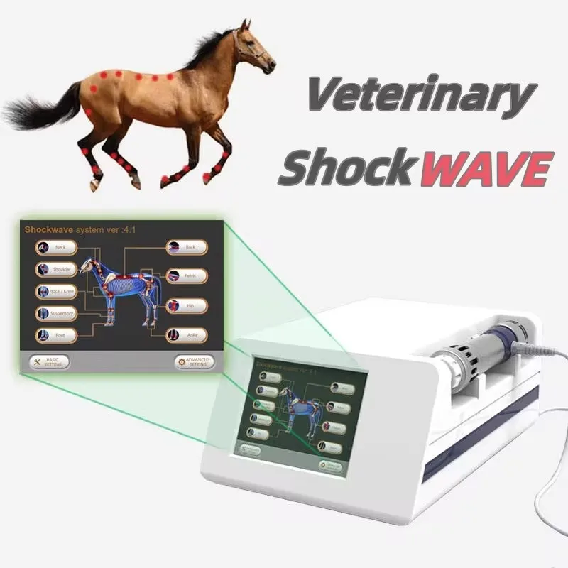 Portable Veterinary Eswt for Horse Extracorporal Equine Shockwave Therapy Pain Rehabilitation Professional Racecourse Use Machin