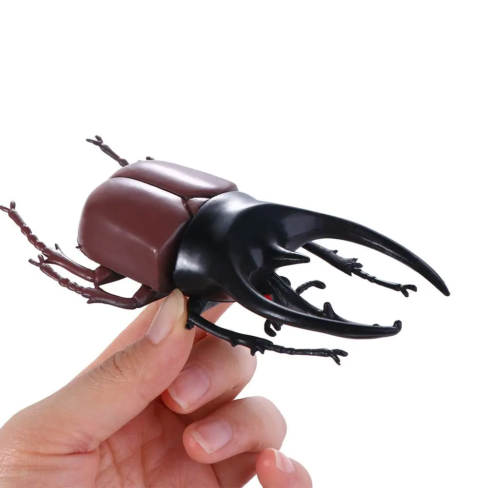 Teaching Aids Joke  Insect  Fake Beetle Beetle Figures Special Lifelike Model Simulation Beetle Beetle  Insect Model