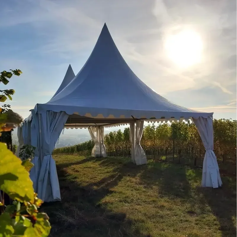 for WT Brand 5x5m Garden Cottage Pagoda Tent for Wedding Event Exhibition Party Rental Factory Direct